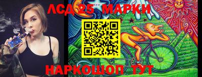 шишки Ноябрьск