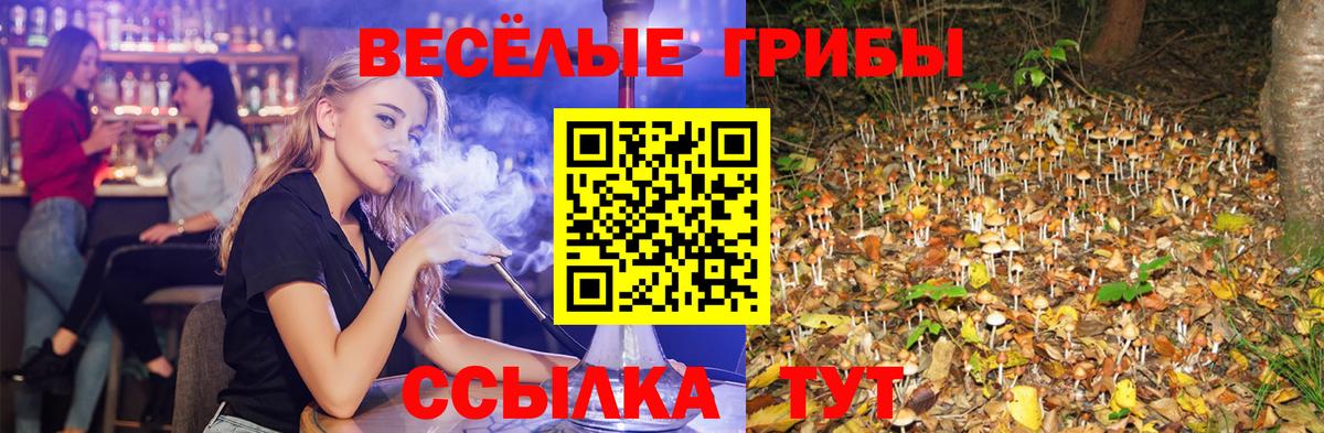 Кольчугино  Псилоцибиновые грибы ЛСД  Вход с VPN  Псилоцибиновые грибы ЛСД 