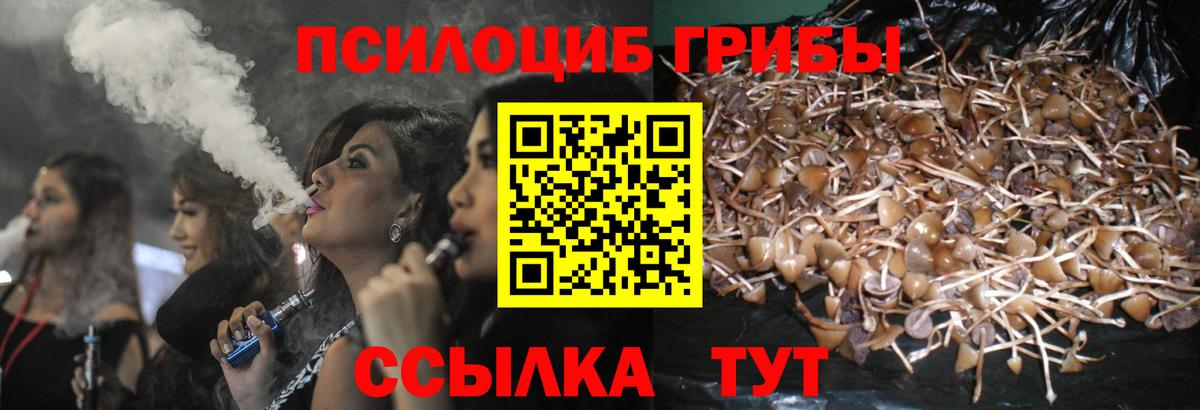 Псилоцибиновые грибы мицелий Кольчугино
